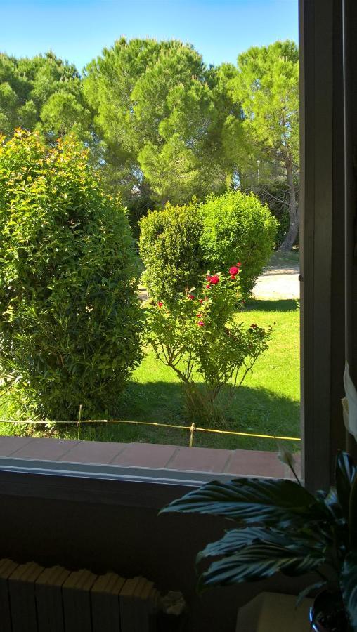 Saint-Jean-de-Cornies Chez Naomi B&B 외부 사진