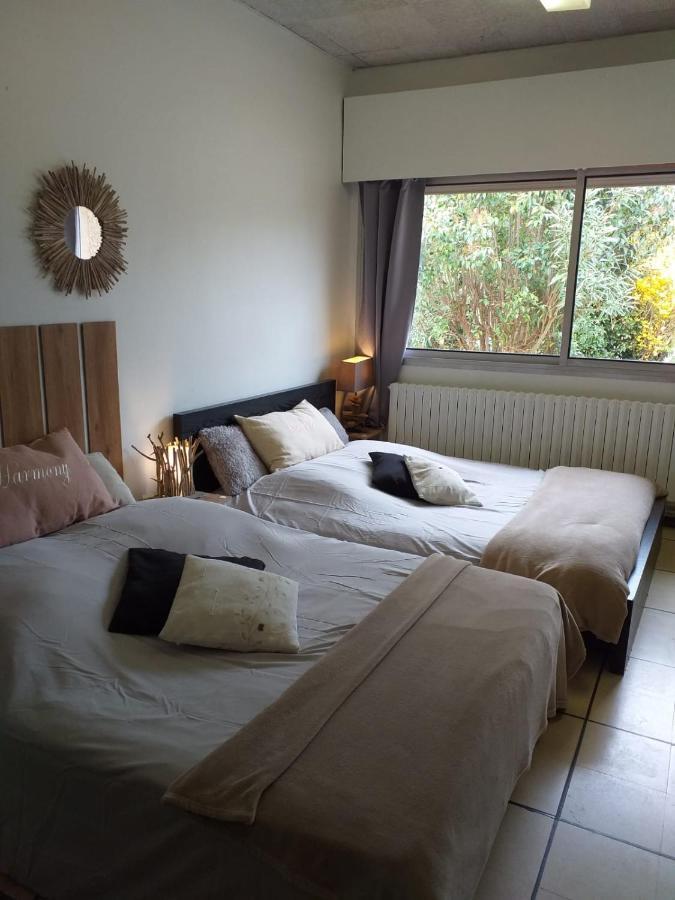 Saint-Jean-de-Cornies Chez Naomi B&B 외부 사진